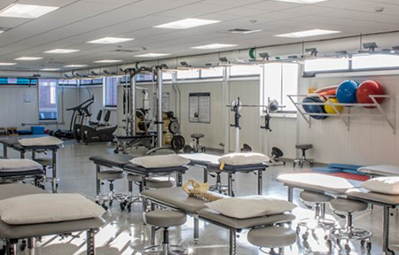 physical therapy